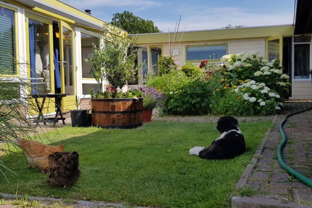 Out Of Amsterdam, River Apartment Close To City ブルック・イン・ウォーターランド エクステリア 写真